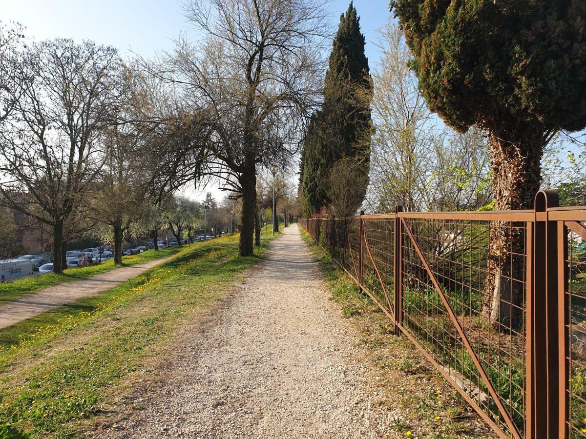 Divina San Zeno Leilighet Verona Eksteriør bilde