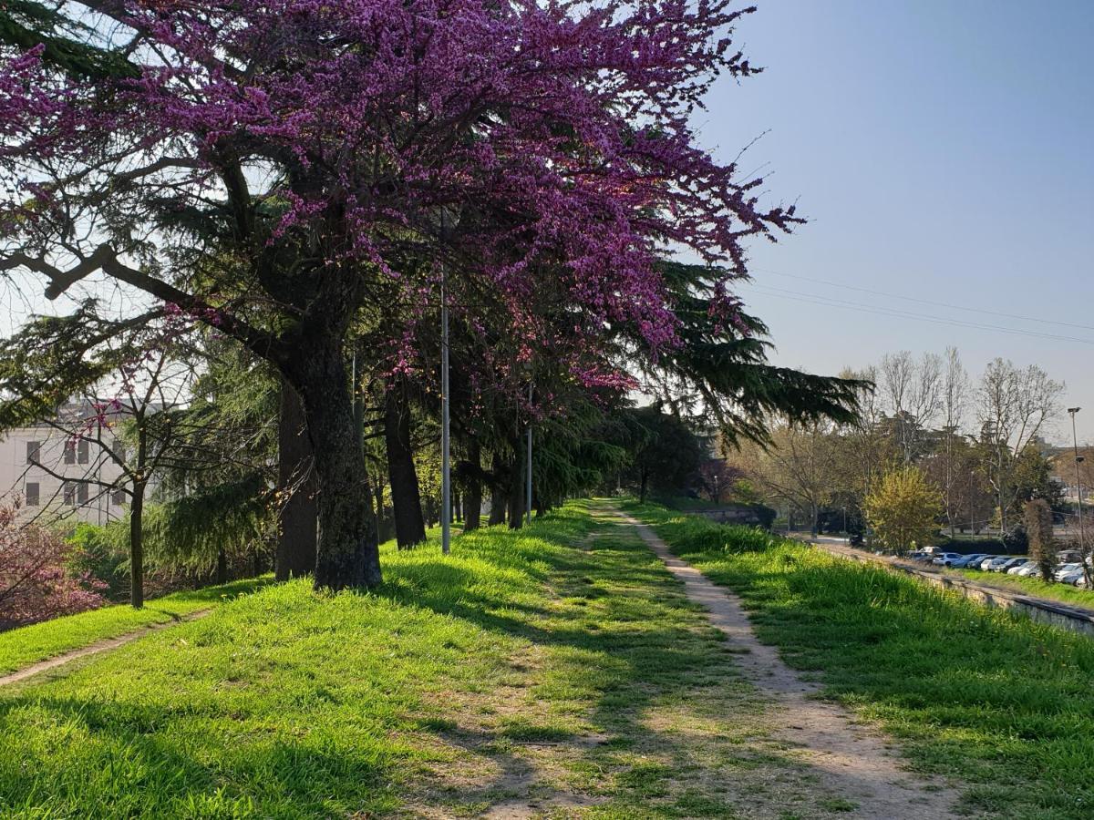 Divina San Zeno Leilighet Verona Eksteriør bilde